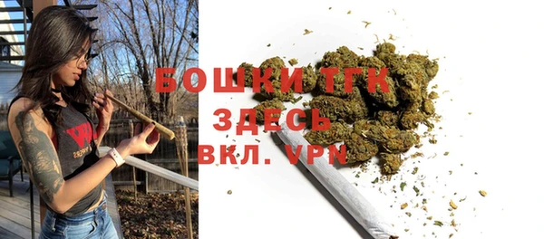спиды Верея