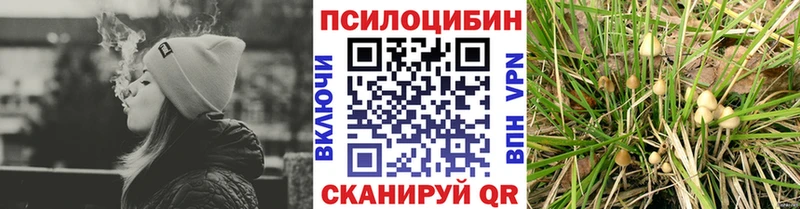 цены наркотик  Пестово  площадка формула  Галлюциногенные грибы ЛСД 